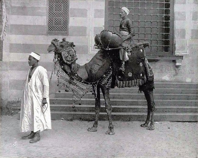 Egyptian drummer on camel with kettle drums