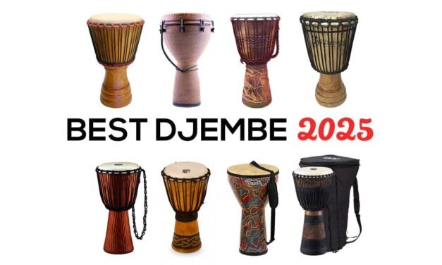 Best Djembe Drums in 2025 – All the best brands