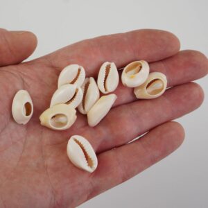 10pcs Pre-Cut Cowrie Shell Beads - Decorative Sustainable Seashells for Djembe Drums