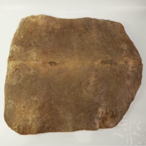 Premium African Goat Skin for Djembe - Thick, Hairless, Whole Hide, Uncut