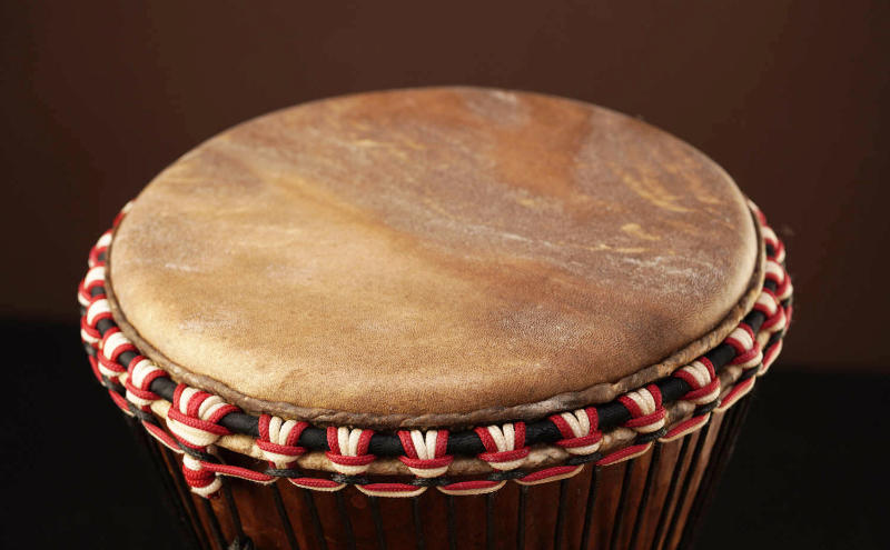 Djembe drum head inspection showing healthy characteristics and warning signs of wear and damage
